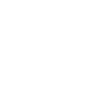 IEEE
